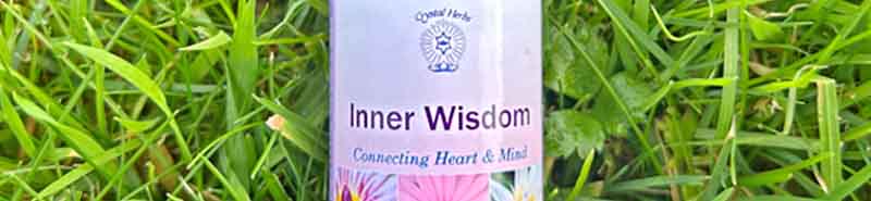 A bottle of Crystal Herbs Inner Wisdom Essence lying in grass