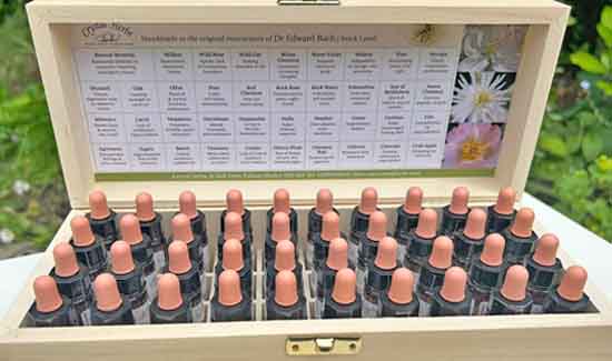 A 10ml set of Crystal Herbs Bach Flower Remedies in a wooden box