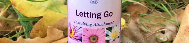 Picture of a bottle of the Letting Go Essence from the Divine Harmony Essence