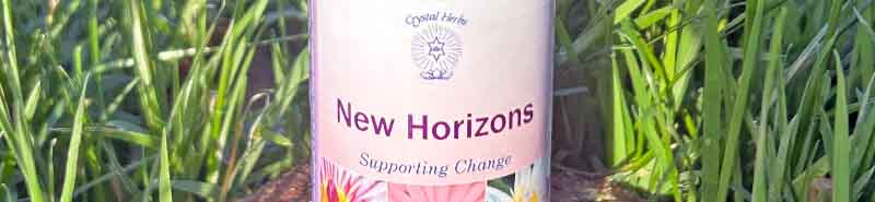 Close up of a bottle of the New Horizons Essence standing in grass