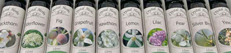 Bottles of 10ml Flower Essences in a set box