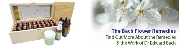 Bach Flower Remedies - How to Use & Choose Bach Flower Remedies - How to Use & Choose