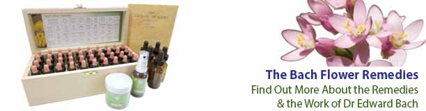 Bach Flower Remedies & the Work of Dr Bach | Crystal Herbs