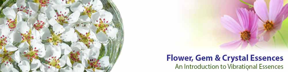 Flower Essences - An Introduction Flower Essences - An Introduction