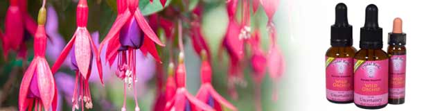 Karmic Flower Essences Karmic Flower Essences