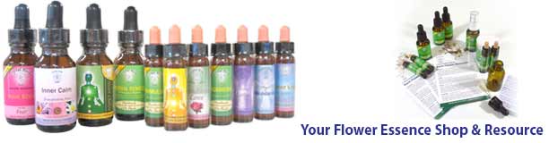 Our Flower Essences