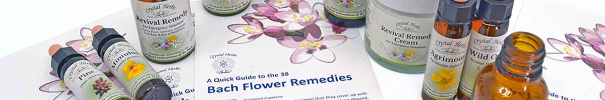 Bach Flower Remedy bottles and leaflet