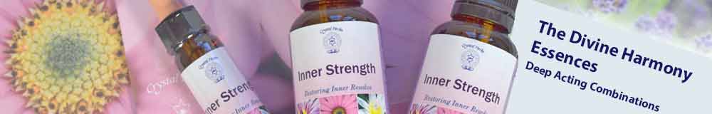 Divine Harmony Essence bottles on product leaflets