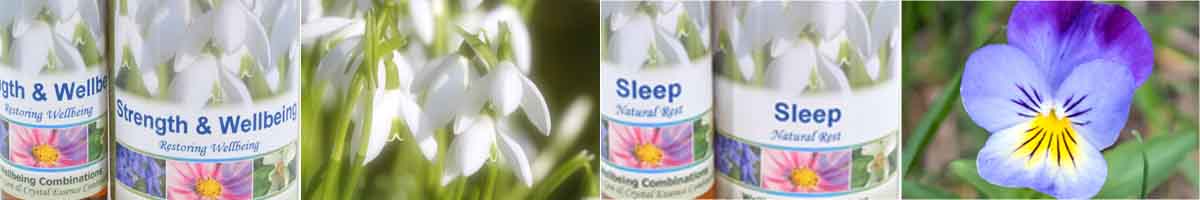 Wellbeing Montage: two bottles of Strength & Wellbeing Essence, Snowdrop flowers, Stwo bottles of Sleep Essence and a Pansy flower