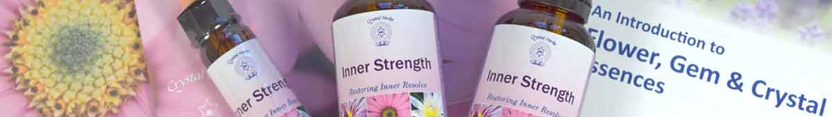Divine Harmony Essences Divine Harmony Essences on a leaflet